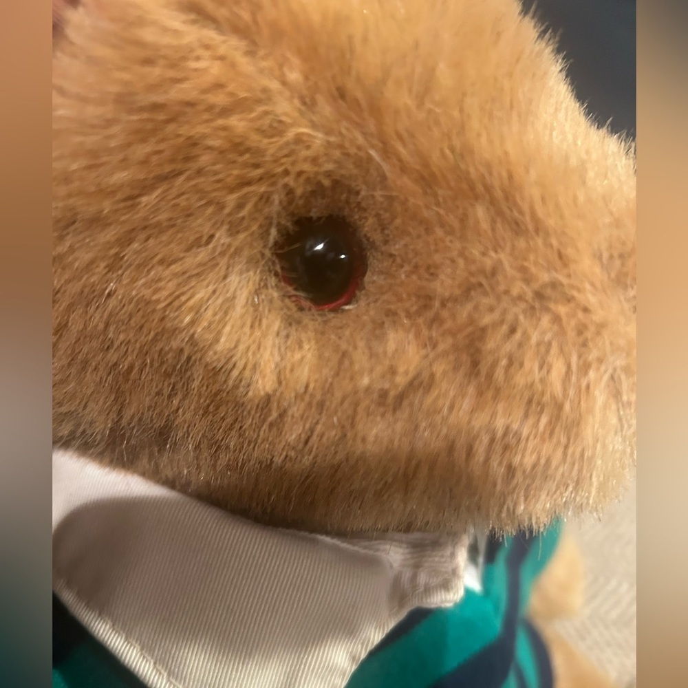 Vintage 1989 Lands End Gund Teddy Bear Rugby Plush Green Blue Polo 14” - Picture 5 of 8